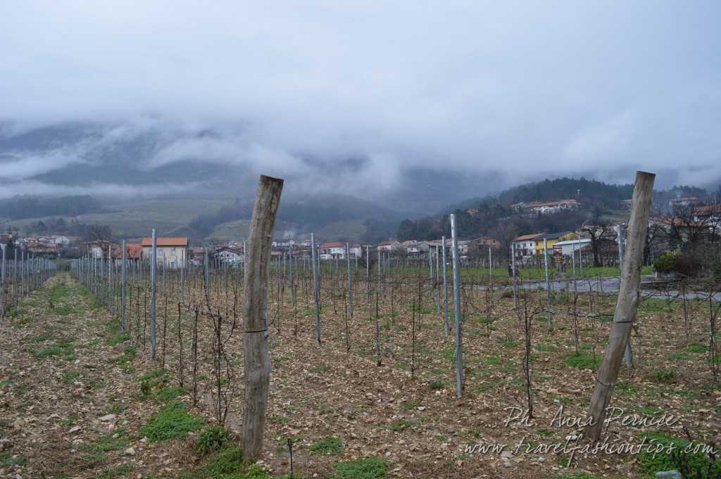 Vipava Valley