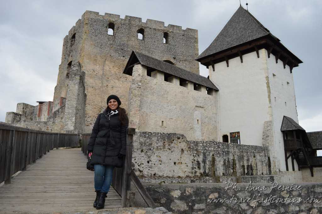 Castello di Celje