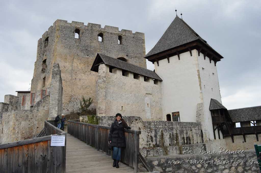 Castello di Celje