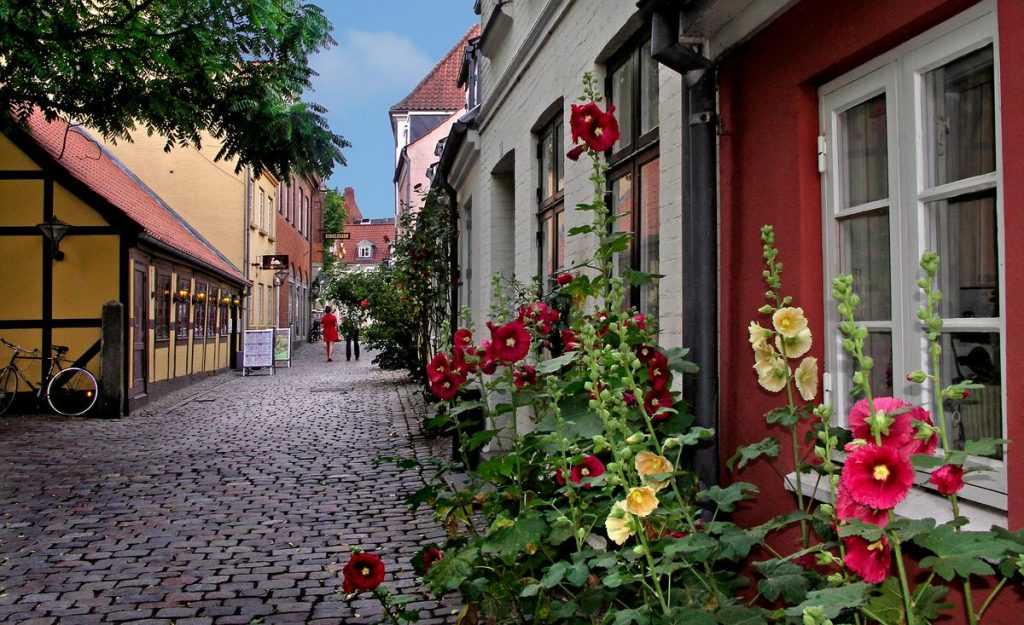 A street in the historic quarter.