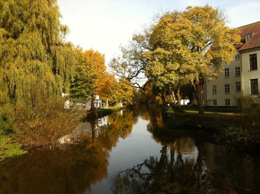 Odense River with fall colours.