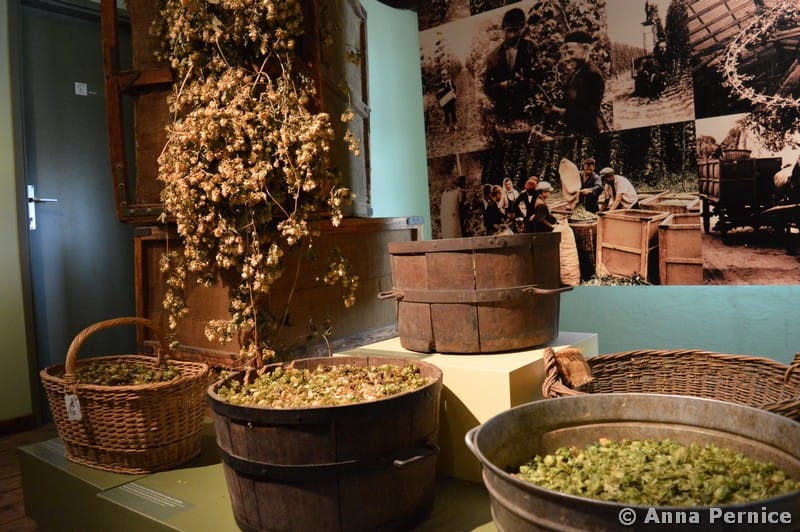 museo della birra Zalec