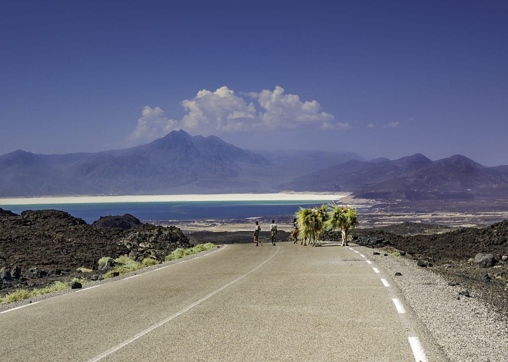 Camel Farmers with Palm tree leaves on their way home near Lac Asal the Salt Lake in Djibouti, East Africa, Horn of Africa