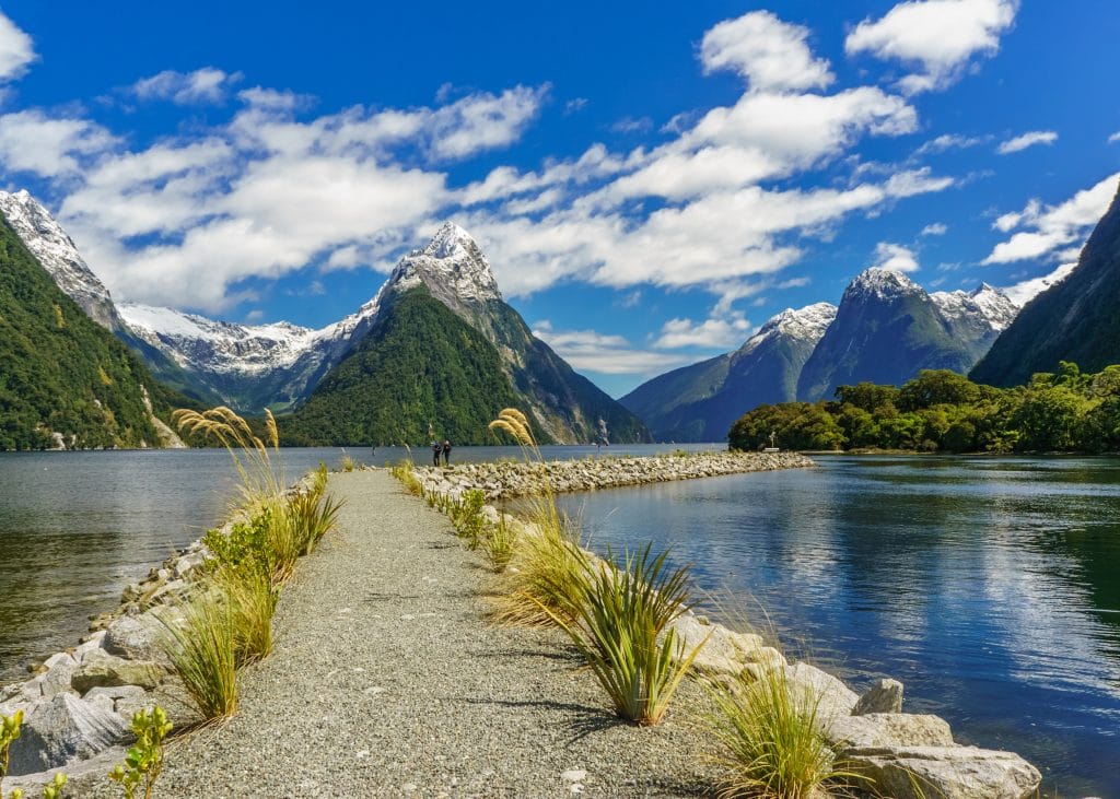 Pathway in the Milford Sound, New Zealand.