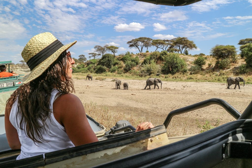 Safari Tanzania 