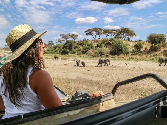 Safari Tanzania