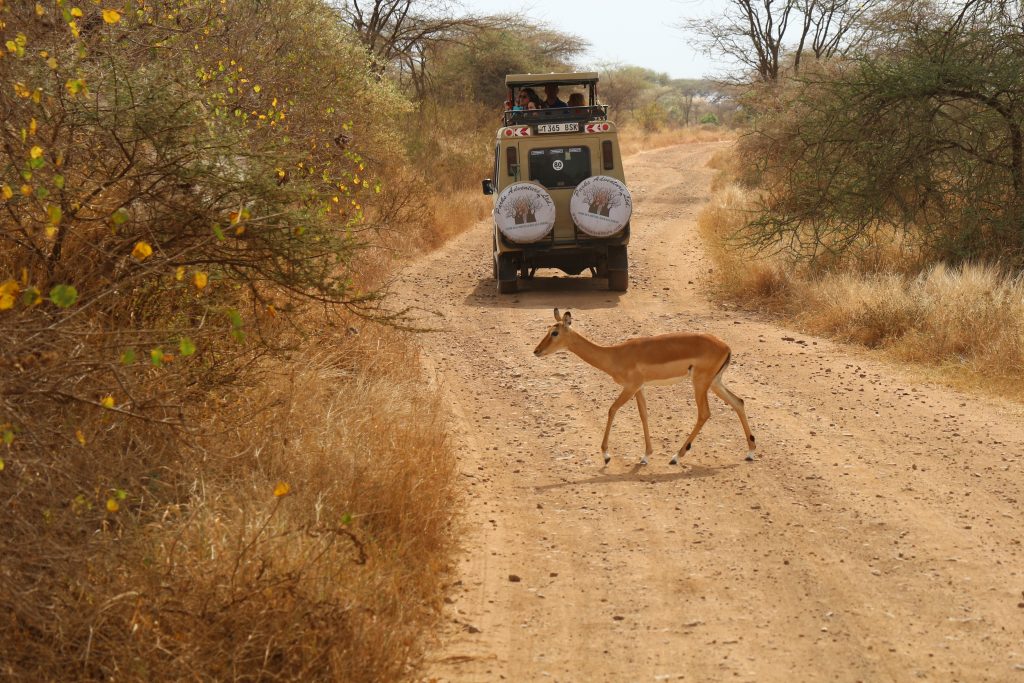 Tanzania