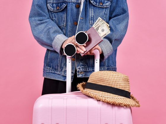 Traveler holding pink suitcase, Passenger and passport document