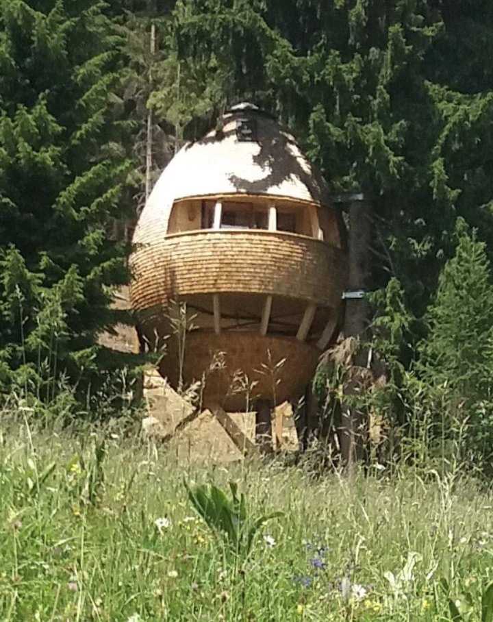 Casa sull’albero Malga Priu 