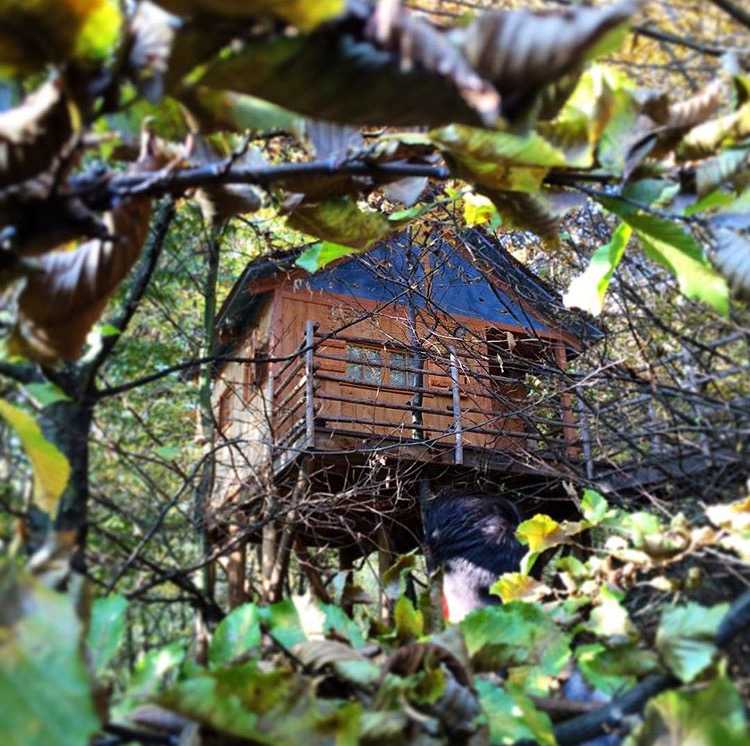 Casa sull’albero Toulipier