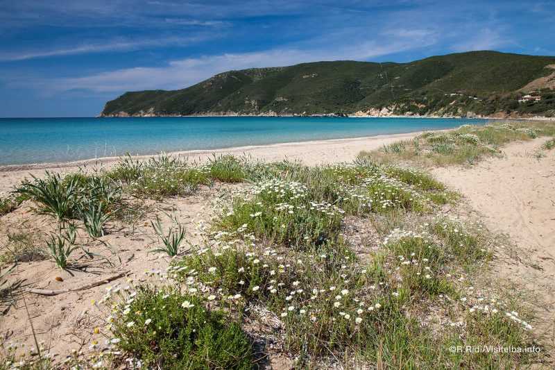 Dune di Lacona