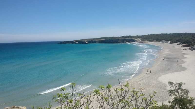 Torre dell'orso