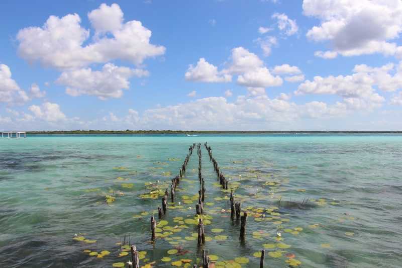 bacalar messico