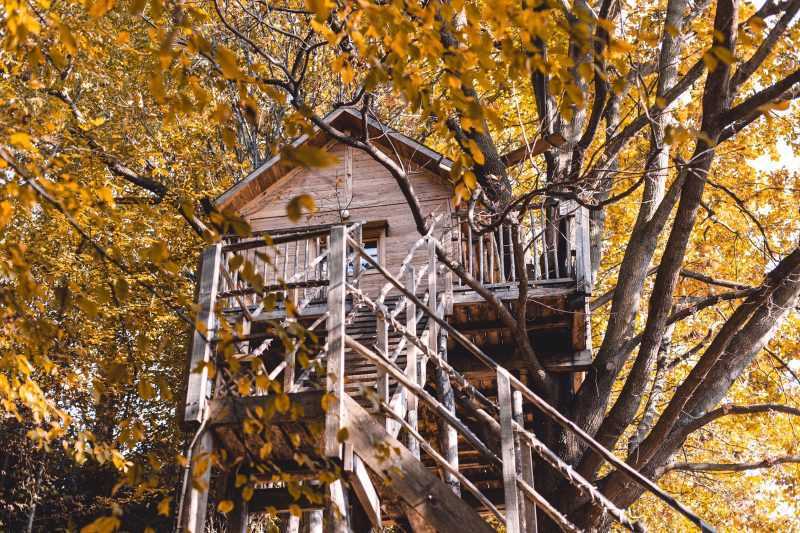 casa sull'albero quercia