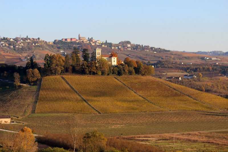 langhe Barolo