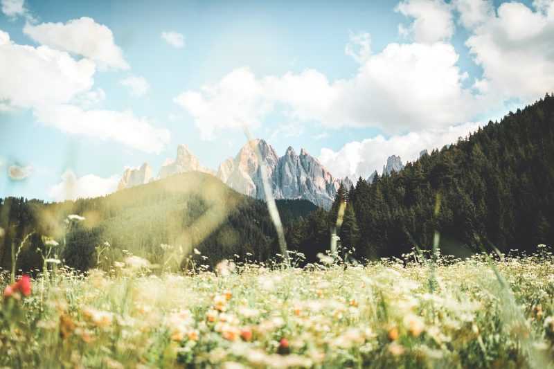 parchi nazionali italiani