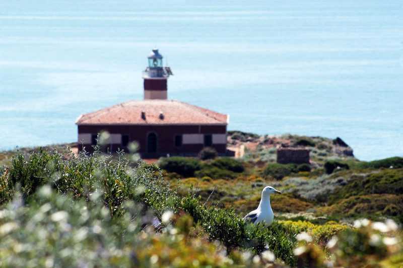 parco nazionale dell'arcipelago toscano