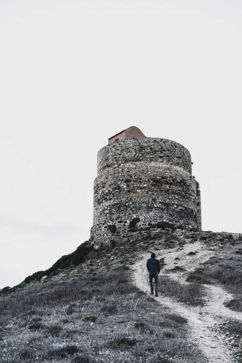 torre la pelosa