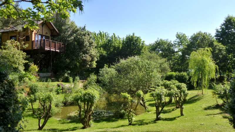 tree house lago trasimeno