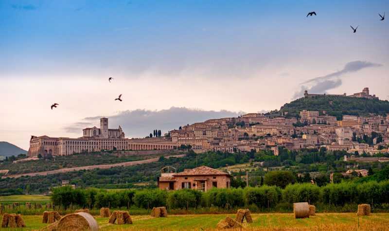 assisi