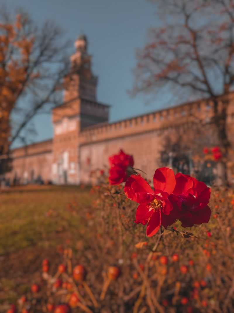 castello sforzesco