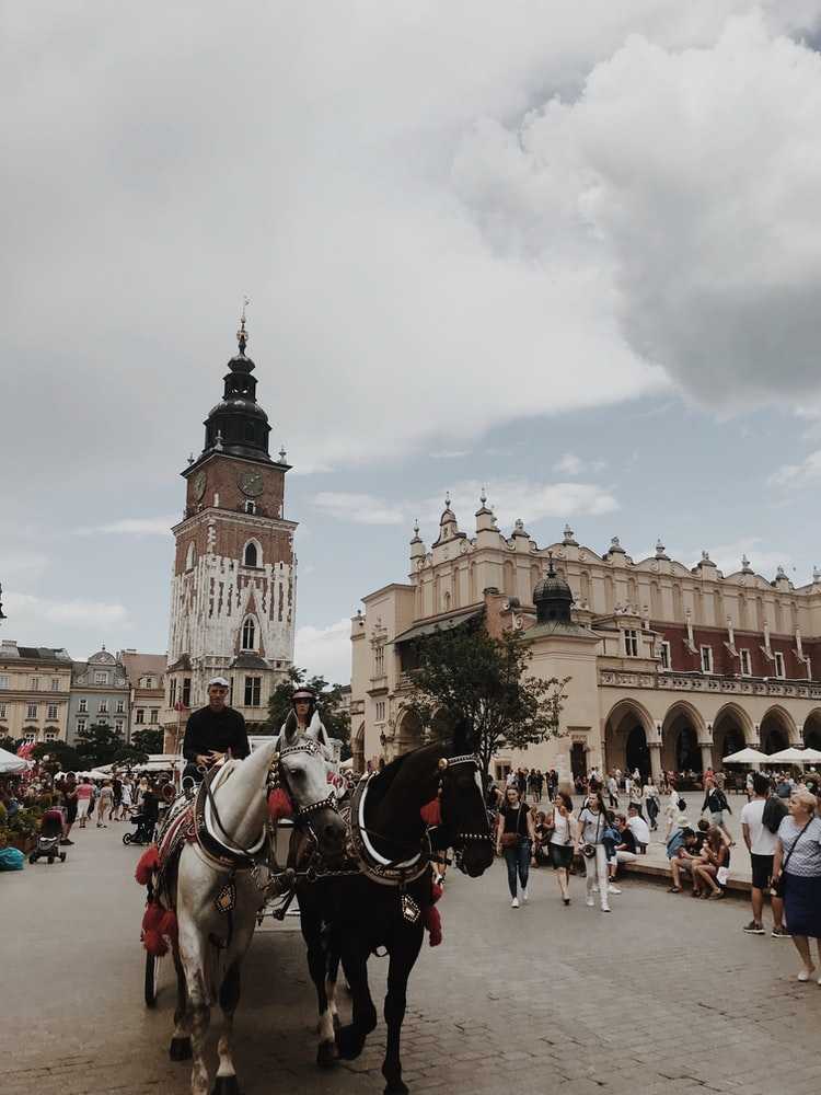 cracovia