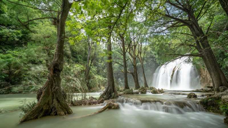 el chiflon chiapas messico p