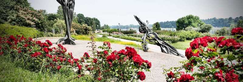 isola delle rose idroscalo milano