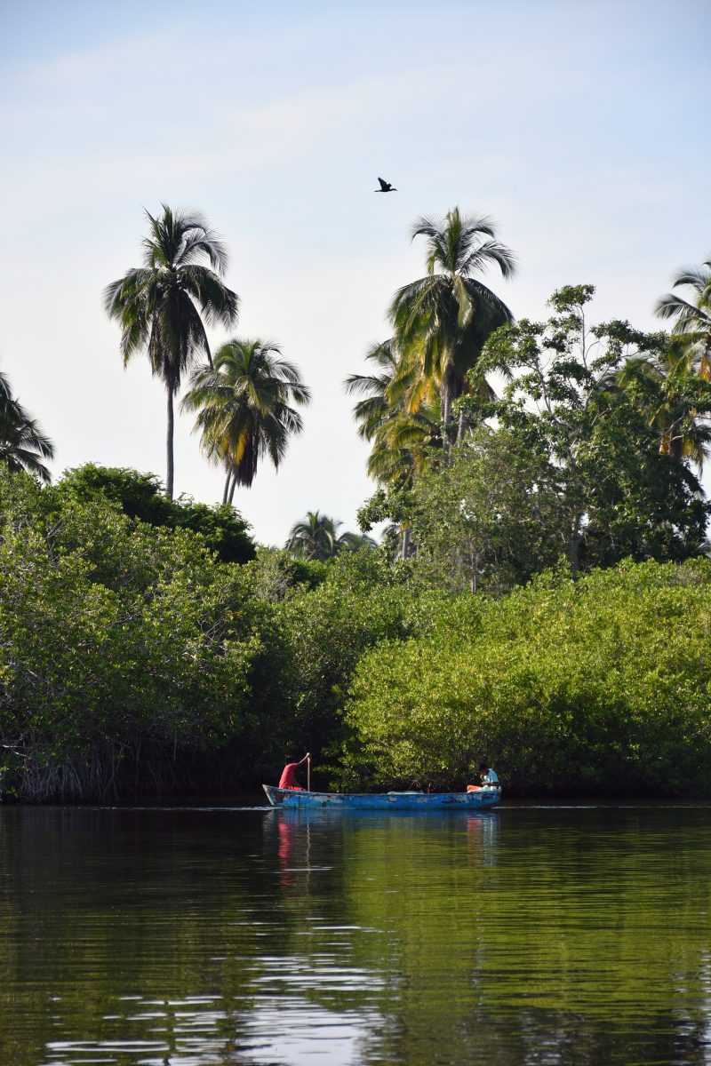 laguna chacahua puerto escondido