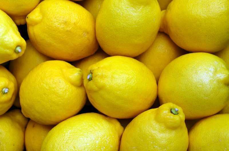 limoni amalfi