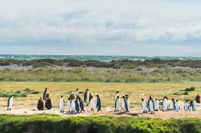 patagonia cilena