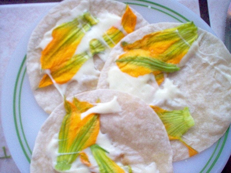 quesadillas camecuaro zirahuen