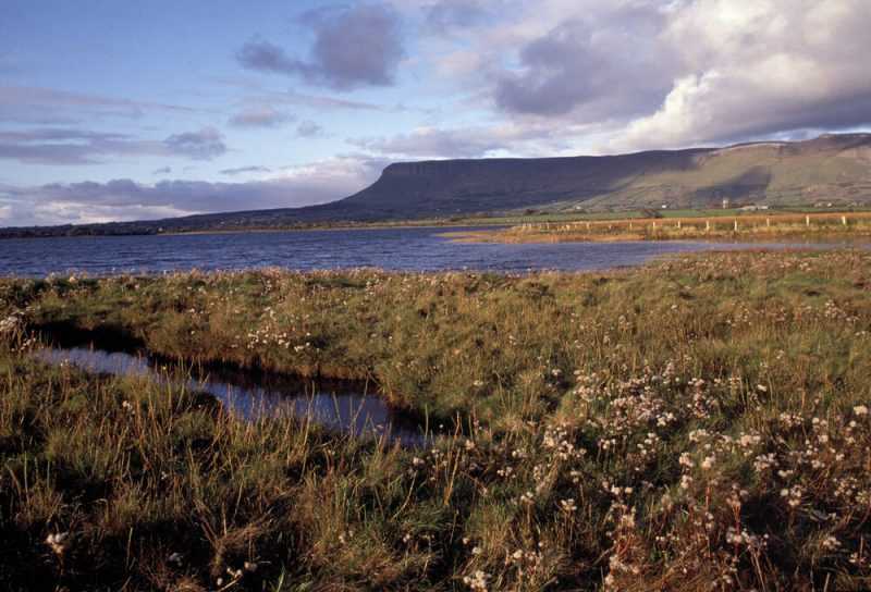 Sligo