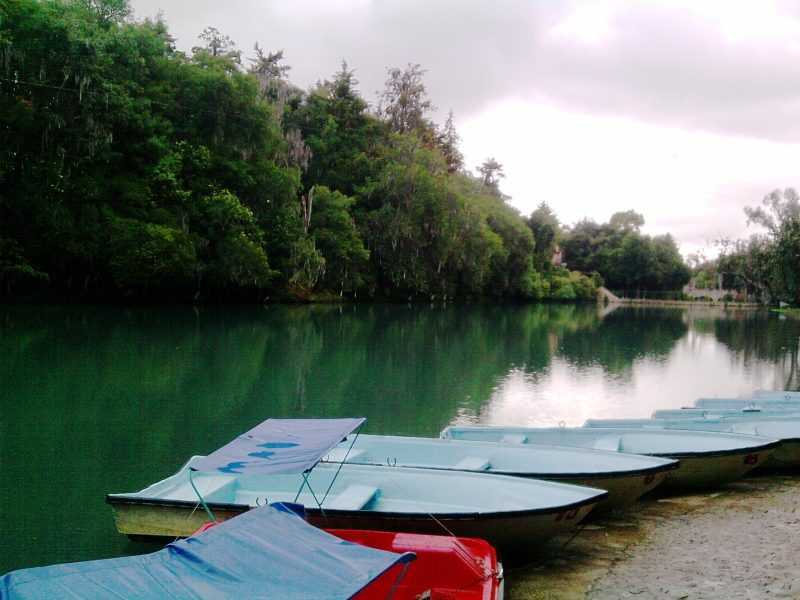 bosque de las truchas messico huasca de ocampo