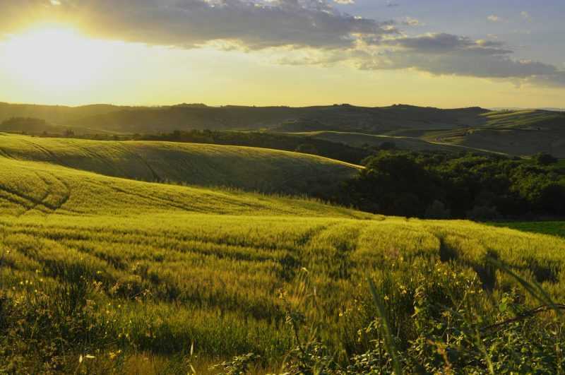 colline senesi