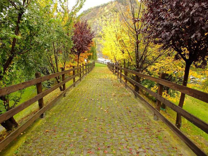 foliage valle d'Aosta