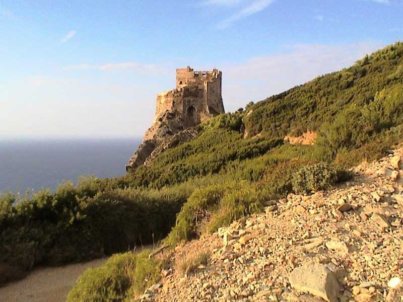 torre vecchia gorgona