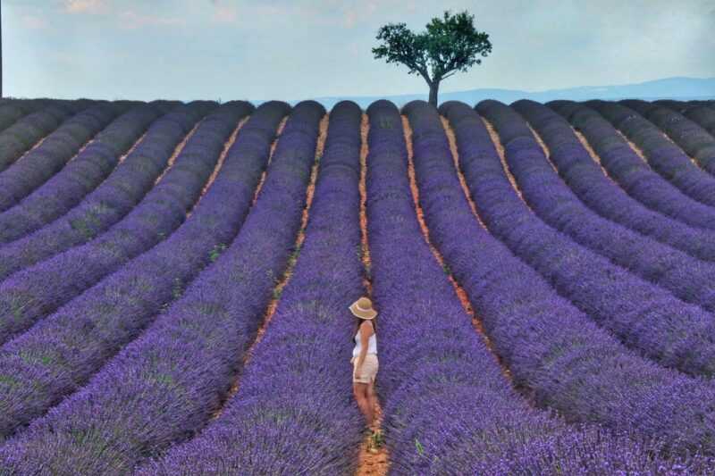 Provence