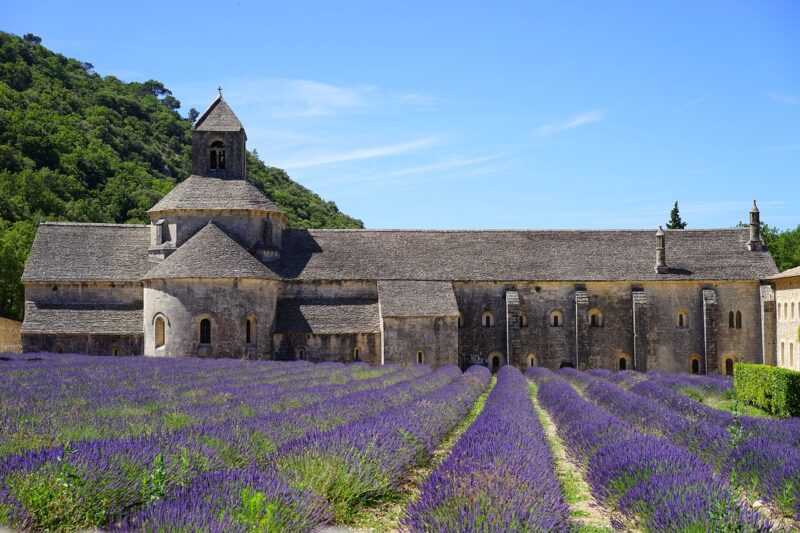 abbaye-de-senanque