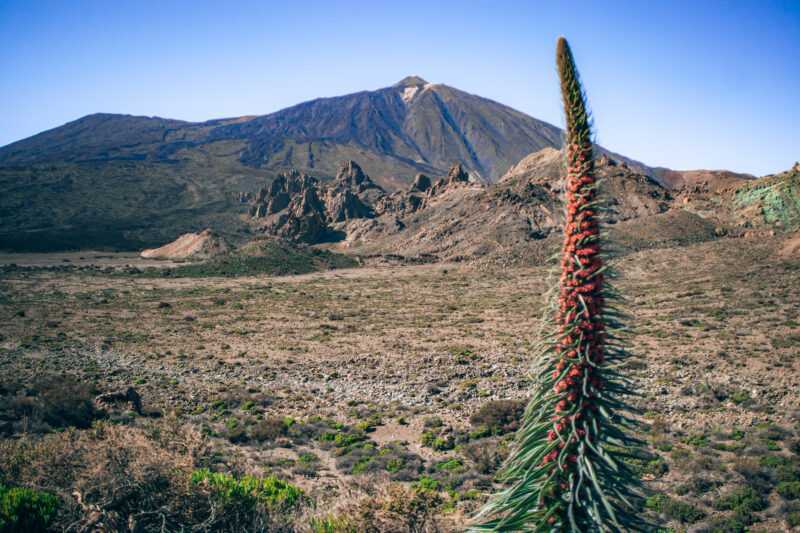 Teide