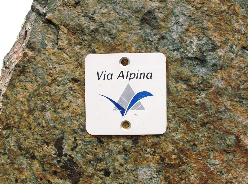 Fonte: Wikipedia. Logo dell'itinerario blu della Via Alpina