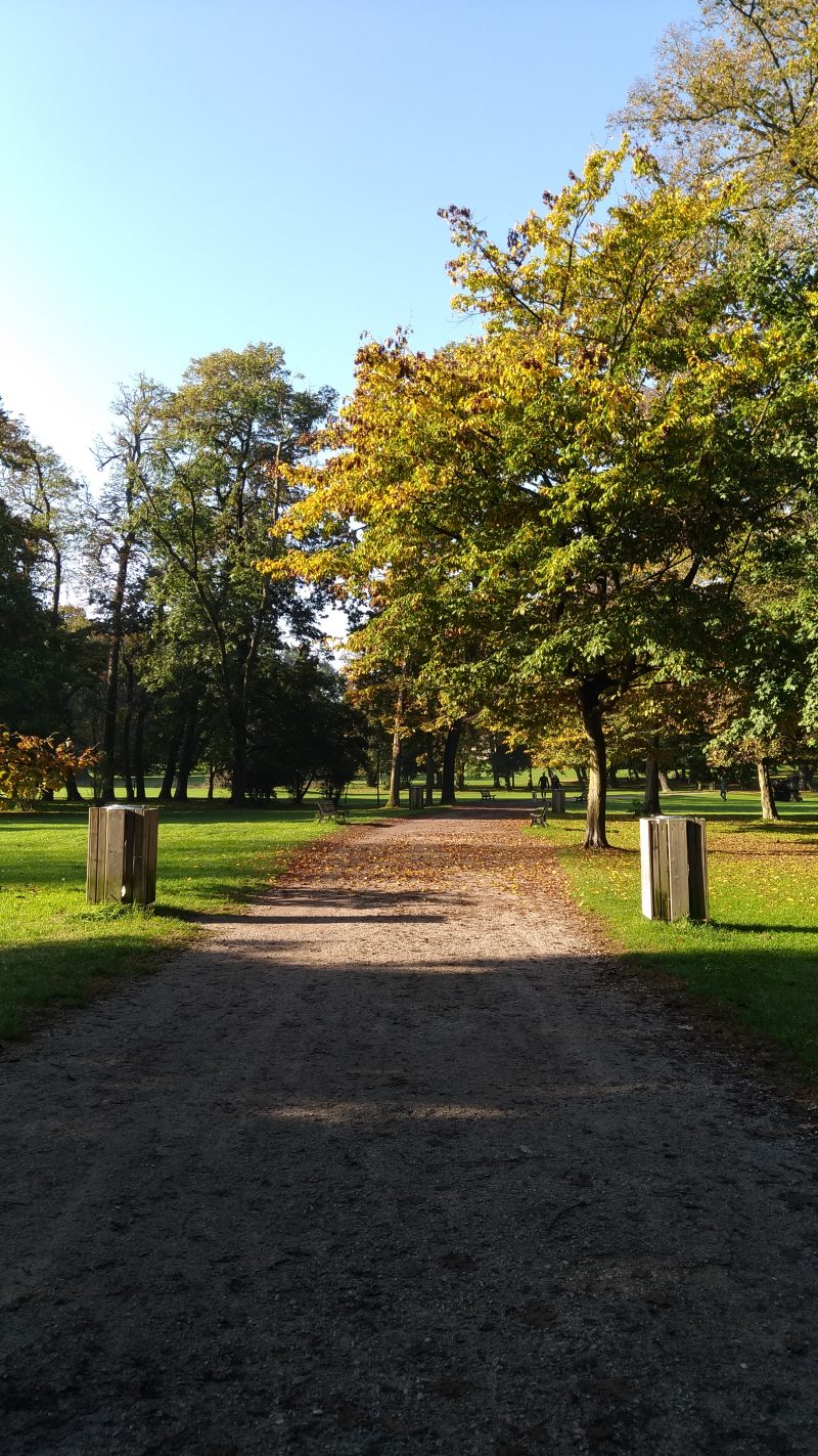 Foto: Scorcio del parco della Villa reale di Monza