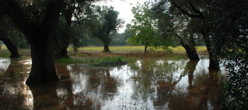 Parco Rurale Li Paduli